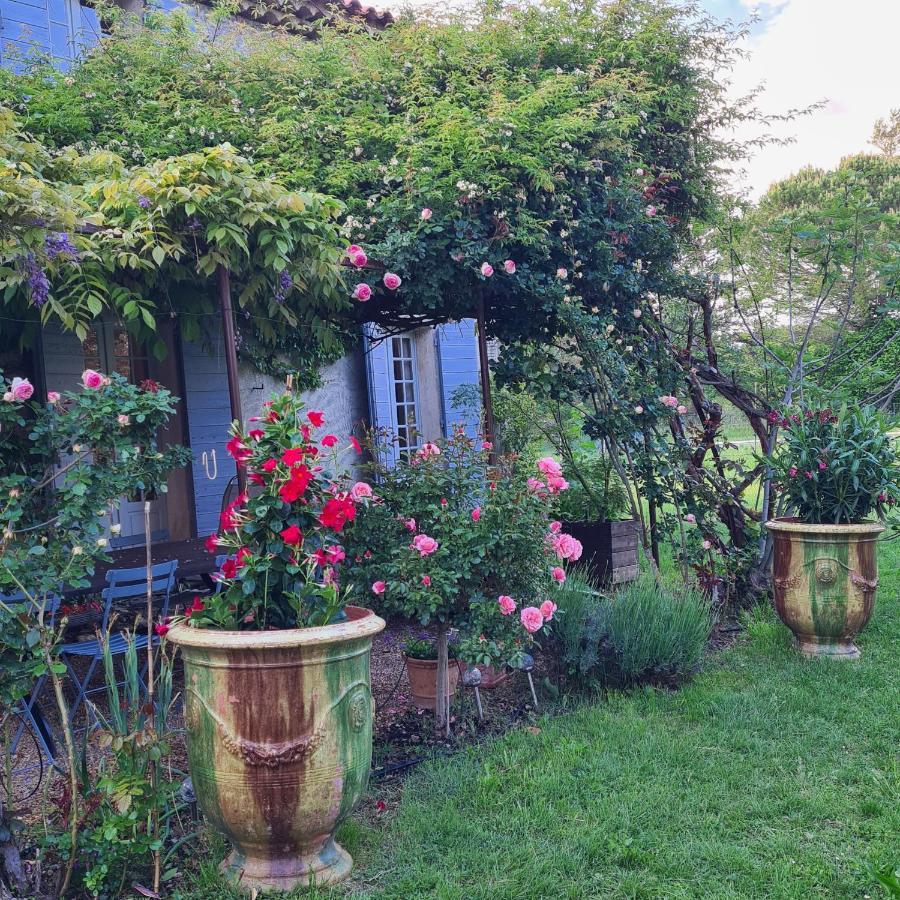 Le Mas Des Pins Mane  Exterior foto