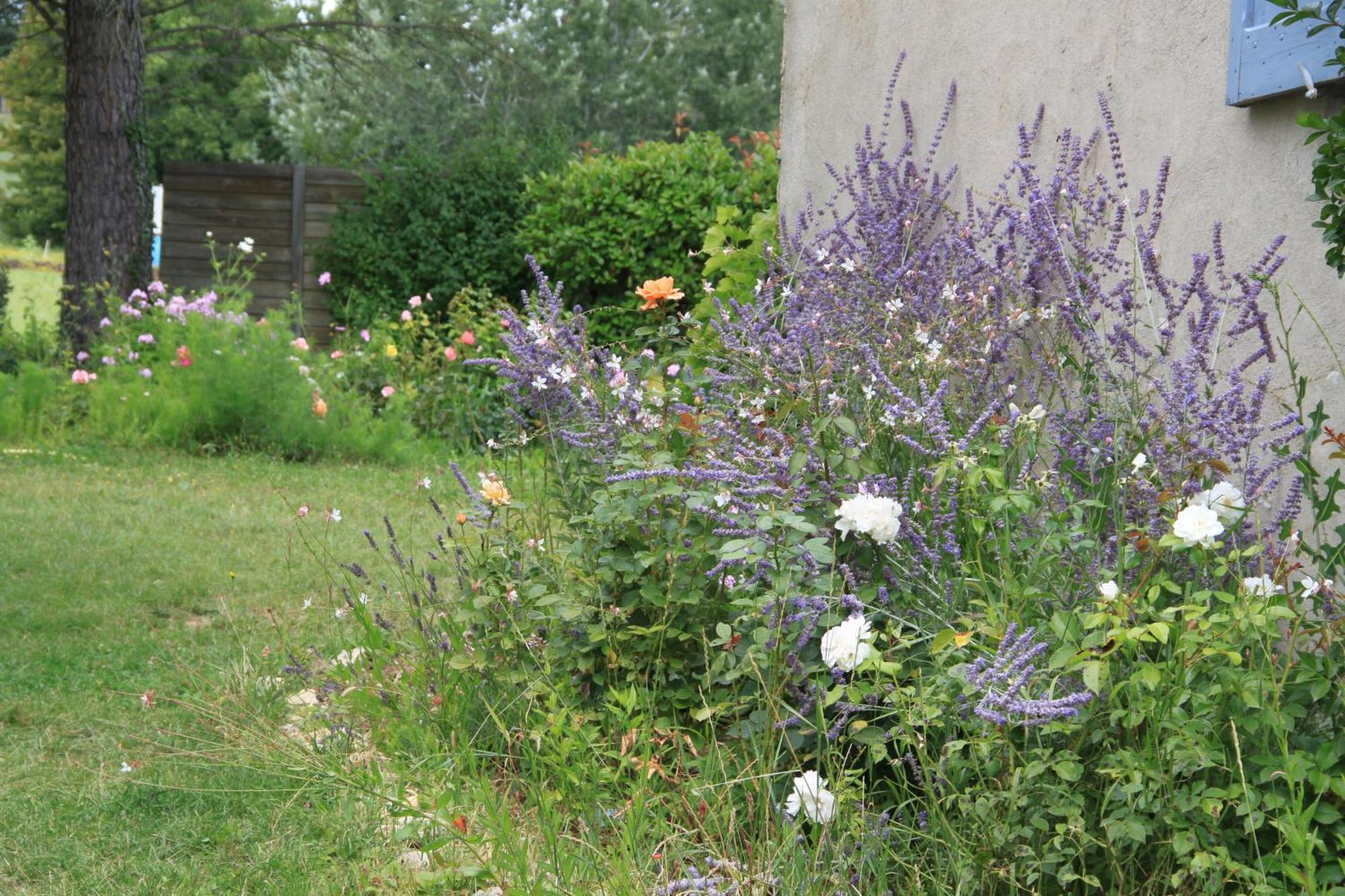 Le Mas Des Pins Mane  Exterior foto